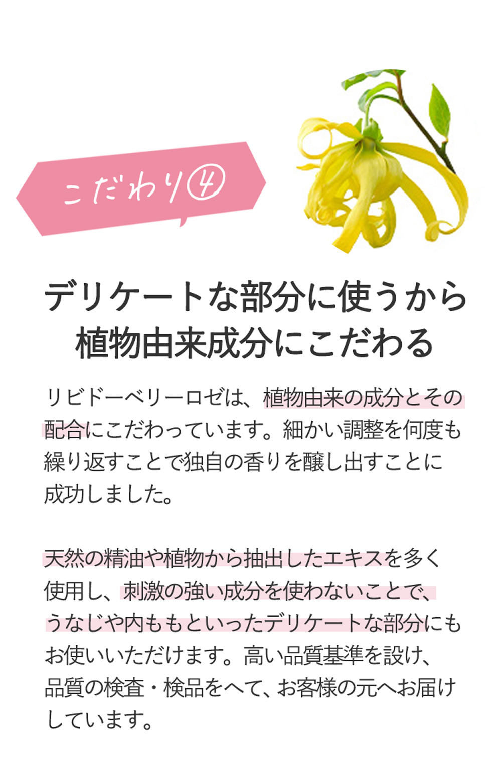 リビドーベリーロゼ